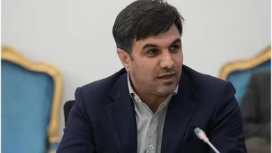 دولت مسیر توسعه دیجیتال را با سرعت پیش می برد