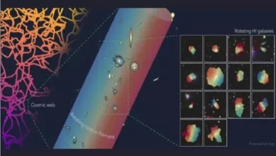 کشف یک رشته عظیم کیهانی به طول ۵۰ میلیون سال نوری
