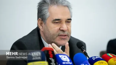 تسهیلات ۲ و سه دهم همتی برای صنایع دستی در دو ماه گذشته پرداخت گردید