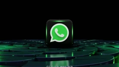 دستور هندوستان به واتس اپ برای توقف ارایه خصوصیت نام کاربری