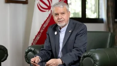 وزیر میراث فرهنگی:  اعتماد ایرانی ها خارج از کشور باید بازسازی شود